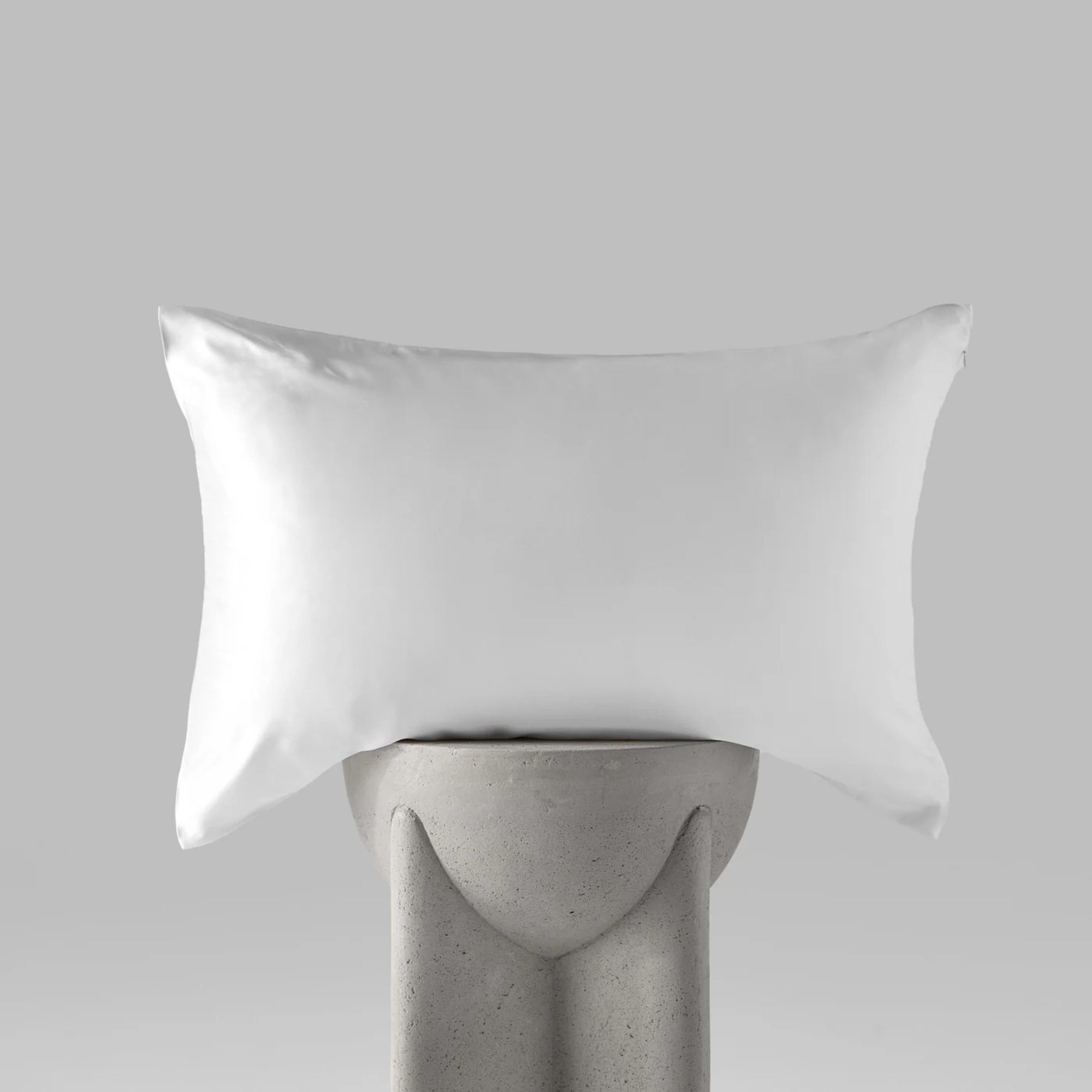 Funda Almohada de Seda Queen (52x74cm)