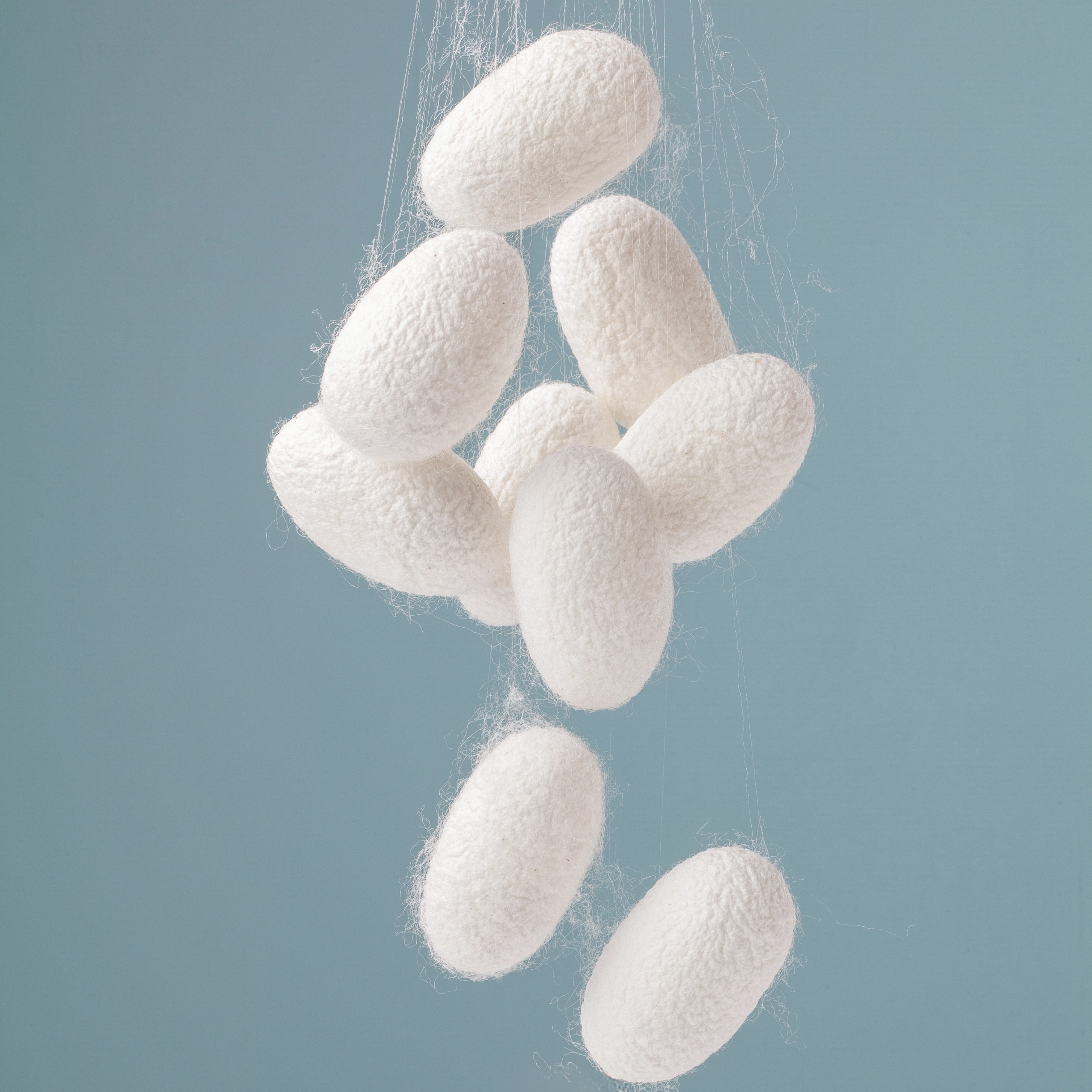 Pack Bella Durmiente (Funda + Antifaz + Collet)