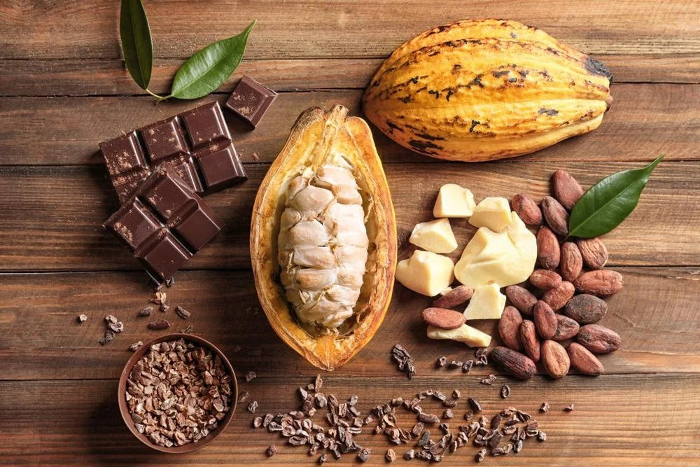 Descubre Cómo el Cacao Puede Mejorar Tu Sueño