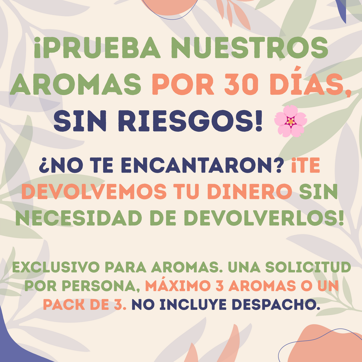 Pack Modo Avión - 3 Brumas para Desconectar